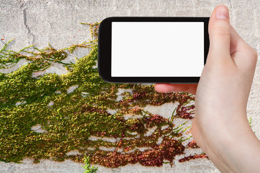 Similar image 9074607