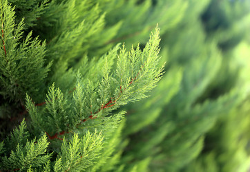 Similar image 9074755