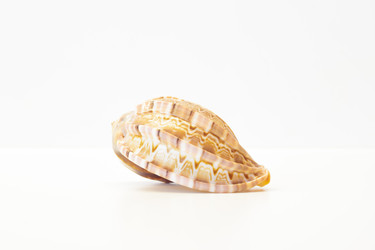 Similar image 9074879