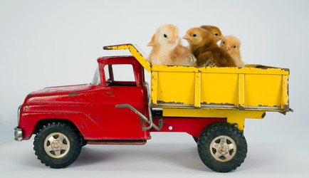 Similar image 9077144