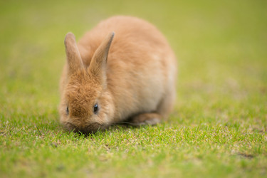 Similar image 9077825