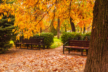 Similar image 9078447