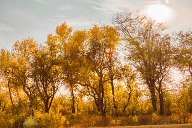 Similar image 9078458