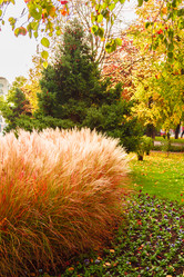 Similar image 9078462