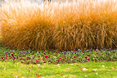 Similar image 9078464