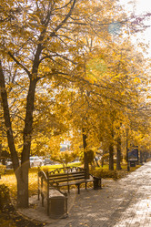 Similar image 9078466