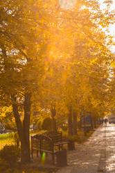 Similar image 9078468