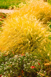 Similar image 9078476