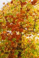 Similar image 9078478