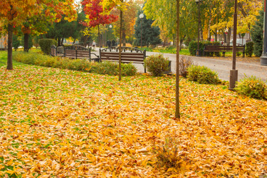 Similar image 9078486