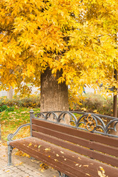 Similar image 9078487