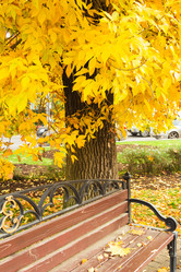 Similar image 9078490