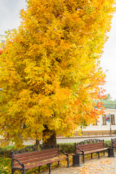 Similar image 9078492