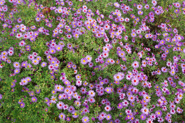 Similar image 9078494