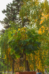 Similar image 9078499