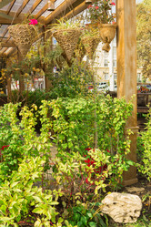 Similar image 9078507