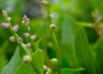 Similar image 9099636