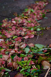 Similar image 9099640