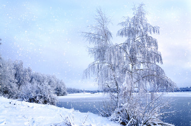 Similar image 9100145