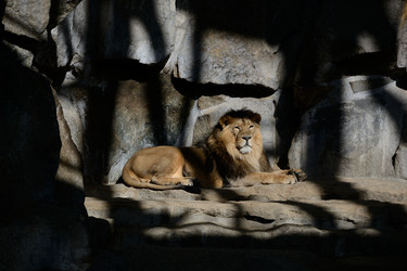 Similar image 9100284