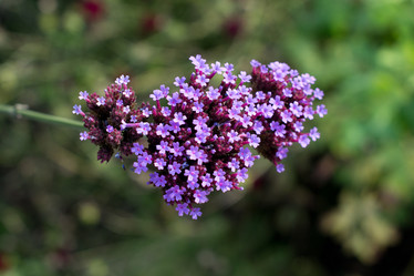 Similar image 9100291