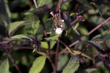 Similar image 9100295