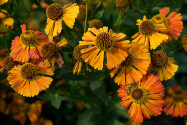 Similar image 9100311