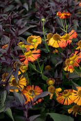 Similar image 9100315