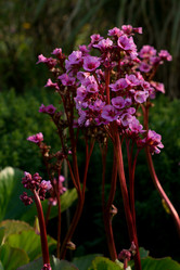 Similar image 9100320