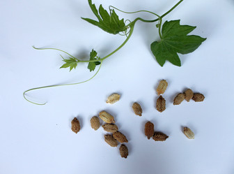 Similar image 9101793