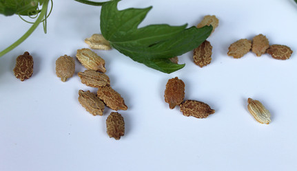 Similar image 9101796