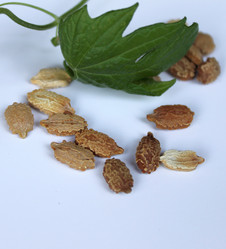 Similar image 9101798