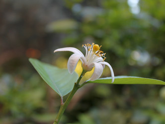 Similar image 9101800