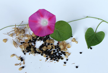 Similar image 9101802