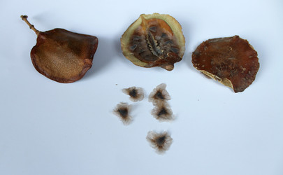 Similar image 9101968