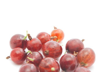 Similar image 9102159