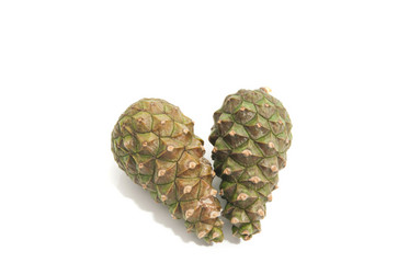 Similar image 9102182