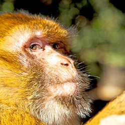 Similar image 9102693