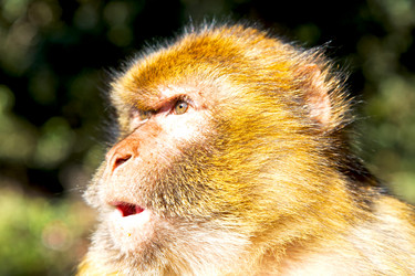 Similar image 9102712