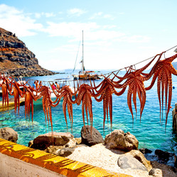 Similar image 9103301