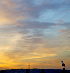 Similar image 9103313