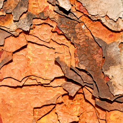 Similar image 9108451