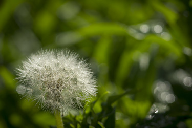 Similar image 9108516