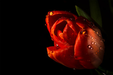 Similar image 9108518