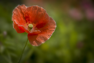 Similar image 9108520