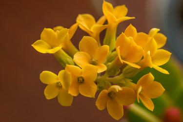 Similar image 9108522