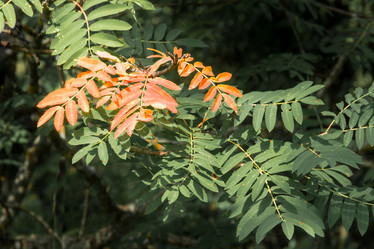 Similar image 9108598