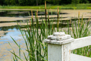 Similar image 9108618