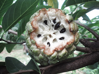 Similar image 9110488