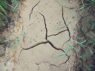 Similar image 9110621